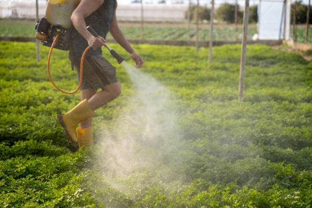 Best Exterminator Services  in Dauphin, PA