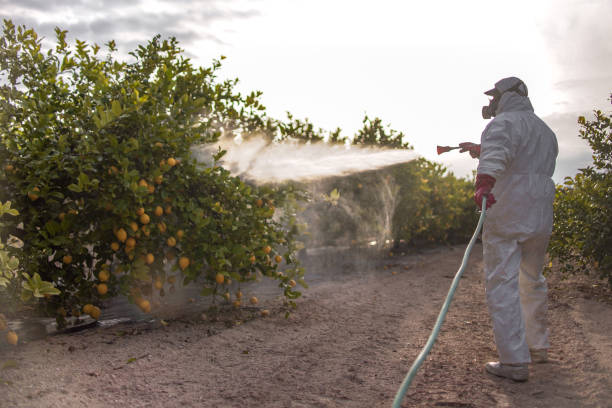 Best Residential Pest Control  in Dauphin, PA