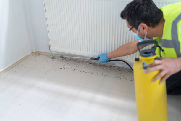 Best Residential Pest Control  in Dauphin, PA